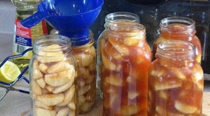 Artisanal Apple Pie Filling