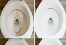 Toilet Cleaning: How to Prepare a Cleaner That Removes Limescale and Makes It Shine