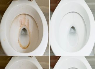 Toilet Cleaning: How to Prepare a Cleaner That Removes Limescale and Makes It Shine