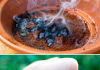 The most effective trick to keep mosquitoes away from the balcony
