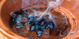 The most effective trick to keep mosquitoes away from the balcony