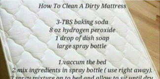 How To Clean And Deodorize Your Mattress