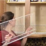 How To Store Canned Goods In An Organized And Efficient Manner