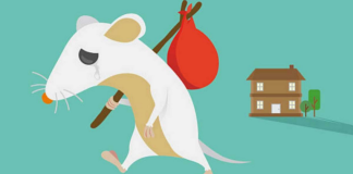 10+ Easy Ways To Keep Mice And Rats Out Of Your Home