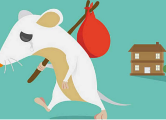 10+ Easy Ways To Keep Mice And Rats Out Of Your Home