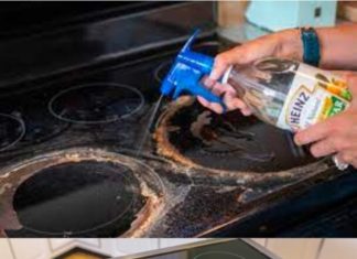 How to Get Your Glass Stovetop Sparkling Clean in Minutes