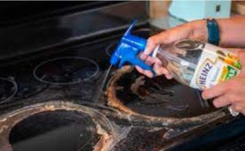 How to Get Your Glass Stovetop Sparkling Clean in Minutes
