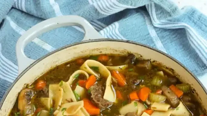 Savory Herb-Infused Beef Noodle Delight