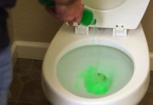 handyman pours dish soap into toilet – when he shows why? I Ran to try it!