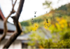 13 Fall Bugs That Are Invading Your Home—and What to Do About Them