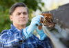 How to Clean Gutters: 5 Effective Ways to Get the Job Done