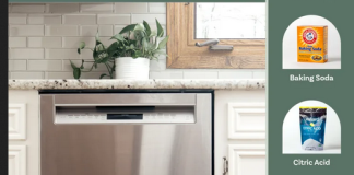 We Tested 5 Methods to Clean a Dishwasher, and the Winner Outshined Them All