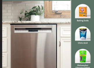 We Tested 5 Methods to Clean a Dishwasher, and the Winner Outshined Them All