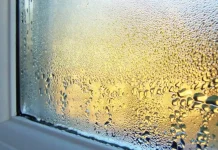 Solved! What to Do About Condensation on Windows