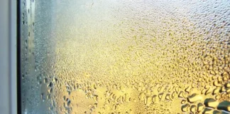 Solved! What to Do About Condensation on Windows