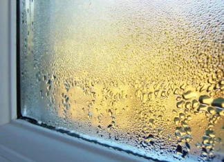Solved! What to Do About Condensation on Windows