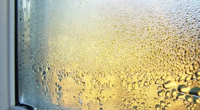Solved! What to Do About Condensation on Windows
