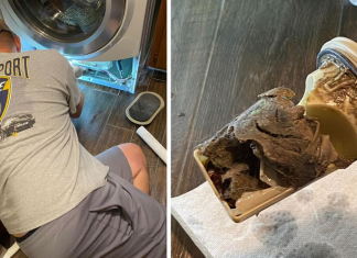 Why Your Clean Laundry May Not Be Smelling As Good As It Should Be