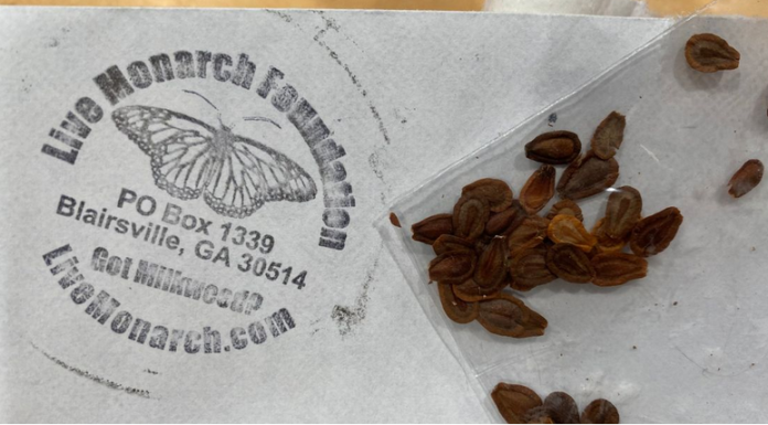 If You Write A Letter To This Address, You’ll Receive Free Seeds To Support Monarch Butterflies