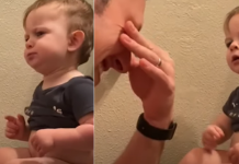 Watch This Little Boy Learning How To Use The Potty If You Need To Smile Today