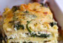Creamy Chicken Delight Lasagna