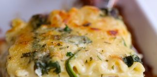 Creamy Chicken Delight Lasagna