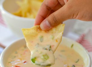 Creamy Blanco Queso Dip Delight