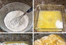 homemade Swim Biscuits