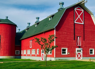 Why Are Barns Painted Red?