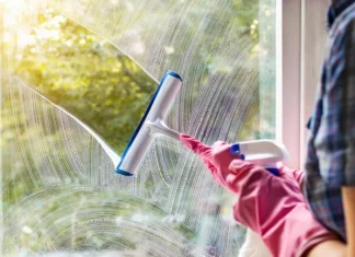 The 10 Best Products for Keeping Your Windows Clean