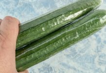 Why Are English Cucumbers Always Vacuum-wrapped In Plastic?