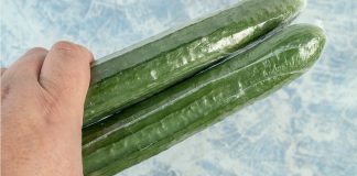 Why Are English Cucumbers Always Vacuum-wrapped In Plastic?