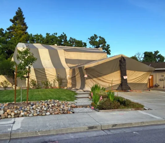 Why Do My Neighbors Have a Tented House?