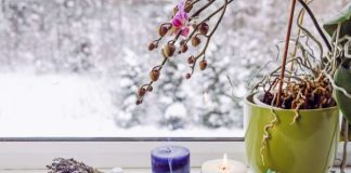 13 Things That Bring Good Fortune to Your Home