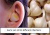Garlic can kill 14 different infections