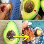Don’t Waste the Avocado Pit: Unlock Its Hidden Health Benefits