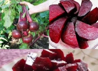 The Beet Goes On: Unveiling the Magic Hours After Enjoying Beets