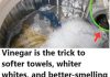 My Clothes Were Never Pure White and Fresh Smelling After Washing, Then My Neighbor Told Me This Trick!