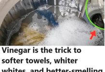 My Clothes Were Never Pure White and Fresh Smelling After Washing, Then My Neighbor Told Me This Trick!