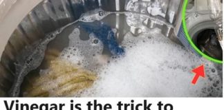 My Clothes Were Never Pure White and Fresh Smelling After Washing, Then My Neighbor Told Me This Trick!