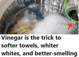 My Clothes Were Never Pure White and Fresh Smelling After Washing, Then My Neighbor Told Me This Trick!