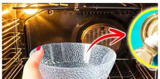 The magic trick to cleaning the entire oven with the bowl method: it will sparkle with cleanliness