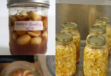 Natural Remedies for Clearing Mucus and Phlegm