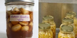 Natural Remedies for Clearing Mucus and Phlegm