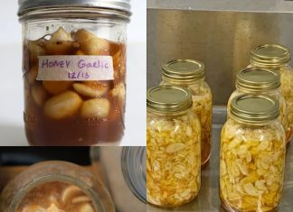 Natural Remedies for Clearing Mucus and Phlegm