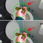 You can say goodbye to bad smells in the bathroom with just a bay leaf.