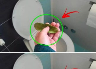 You can say goodbye to bad smells in the bathroom with just a bay leaf.