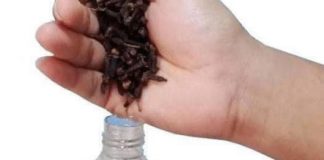 Mix baby oil and cloves, and after 10 seconds you will never use anything else in your life.