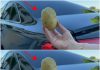 The Lifesaving Potato: An Unlikely Hero in Your Car