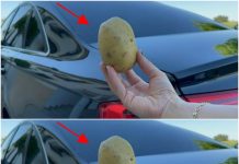 The Lifesaving Potato: An Unlikely Hero in Your Car